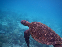 DSCN7749.jpg