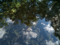 DJI_0017.jpg