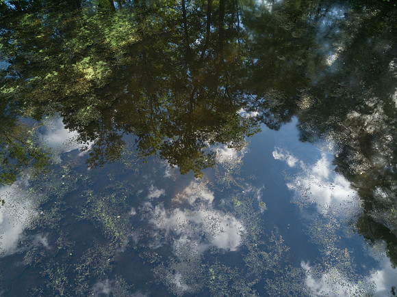 DJI_0017.jpg