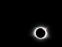 P8216145.jpg