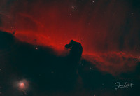 The Horse Head