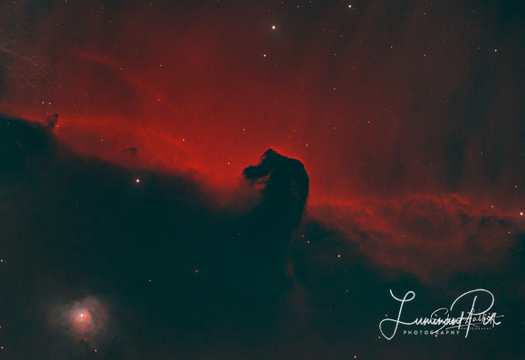 The Horse Head