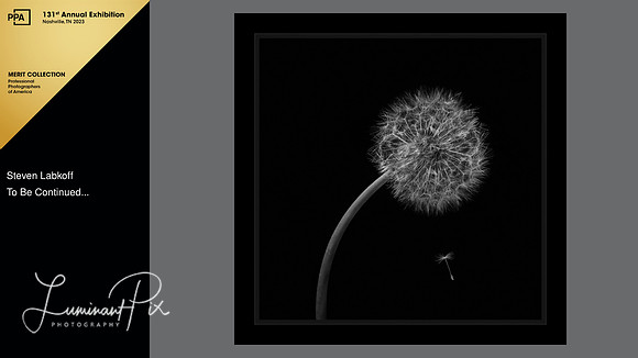 To Be Continued - International Photographic Competition, Merit, 2022