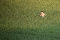 A Catcher in the Rye