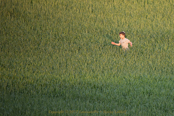 A Catcher in the Rye