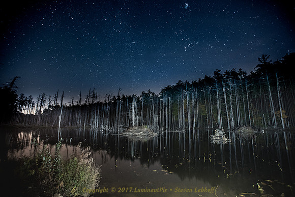 Orinids and the Beaver Den-3_4249-2.jpg