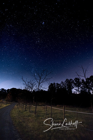 Hale Farm - The road less traveled