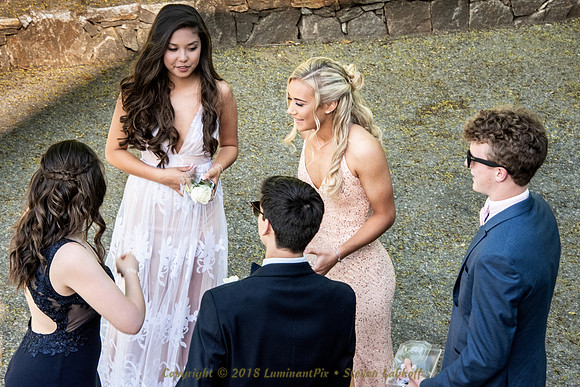 2018 SHS Jr Prom.0010