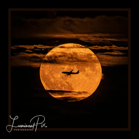 Fly Me to the Moon