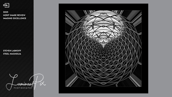 Steel Magnolia - Imaging Excellence