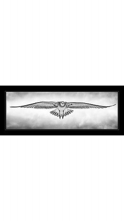 The Wind Beneath My Wings