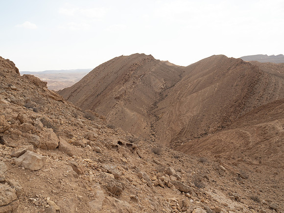 SEL62681.jpg