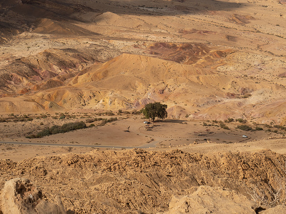SEL62689.jpg