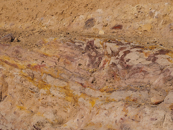 SEL62778.jpg