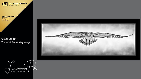 The Wind Beneath My Wings - International 2020