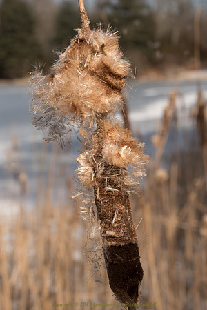 Coming Apart at the Seams II