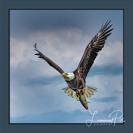 Fly Fishing, Darlington, MD, March 2022