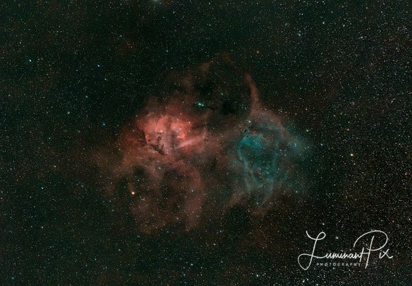 The Lion Nebula