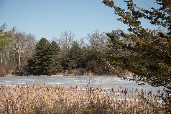 A Graceful Frozen Lake