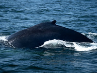 SEL00781.jpg