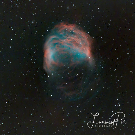 The Medusa Nebula