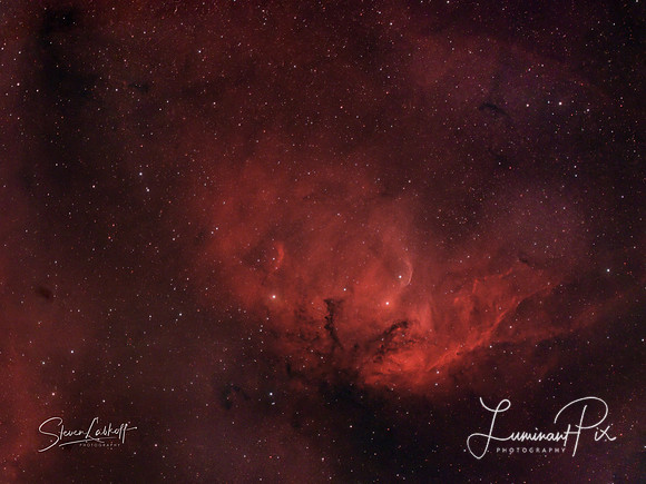 The Tulip Nebula (Cygnus)