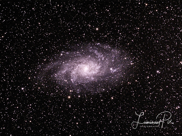 The Triangulum Galaxy (M33)