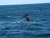 SEL00893.jpg
