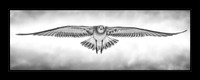 The Wind Beneath my Wings (2020 PPA Loan Collection Winner)