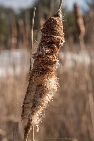 Coming Apart at the Seams