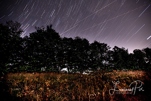 Fireflies at Paine Open Space, Easton, CT