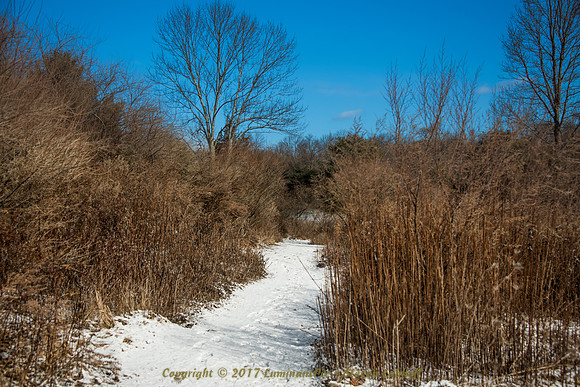 The Path Most Taken