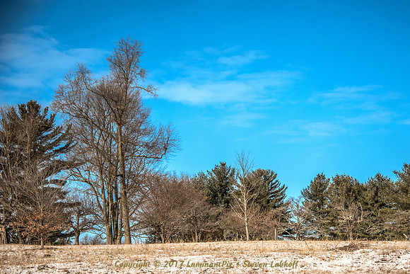 Grace Farms Vista