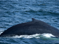 SEL00757.jpg
