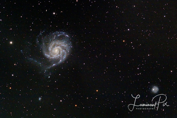 4-24-M101_Crop2.jpg