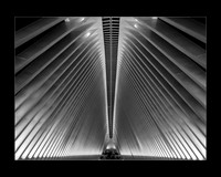 In the Belly of the Beast