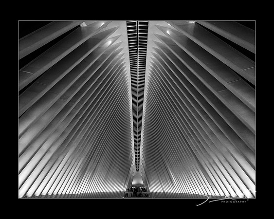 In the Belly of the Beast