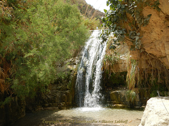 DSCN8209.jpg