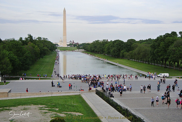DSC_6564.jpg