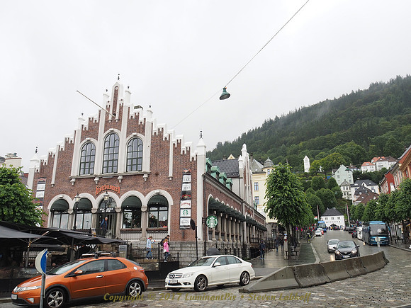 IMG_1880.jpg