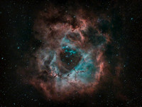 The Rosette