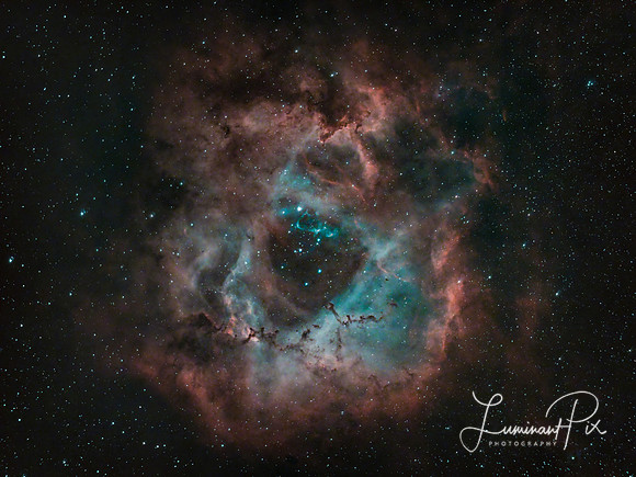 The Rosette