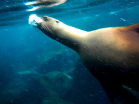 DSCN7953.jpg