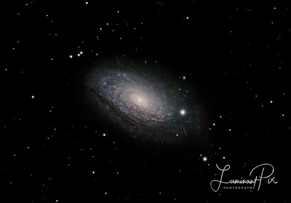 The Sunflower Galaxy