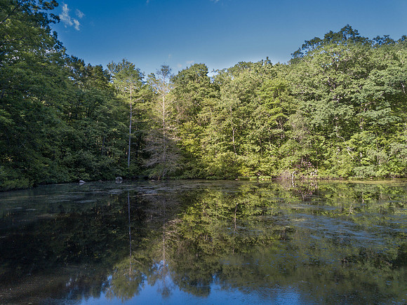 DJI_0003.jpg