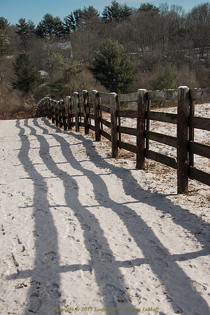 Contours II