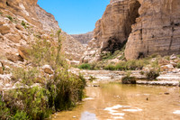 Avadat