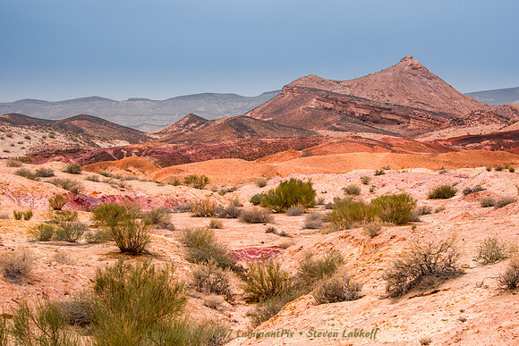 Painted Sands in the Negev