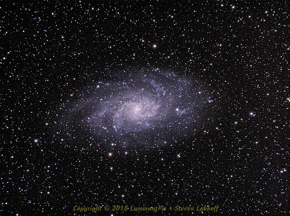 The Triangulum Galaxy (M33)