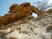 DSCN8239.jpg
